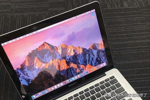 王传君为什么那么恨爱情公寓 王传君为什么那么恨爱情公寓