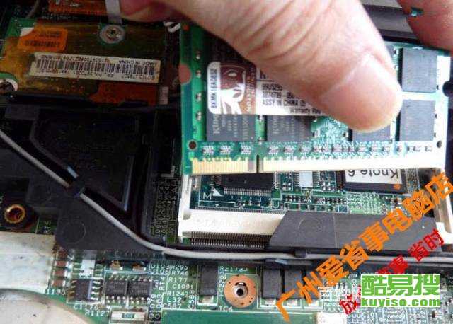 香港演员郑佩佩个人简历