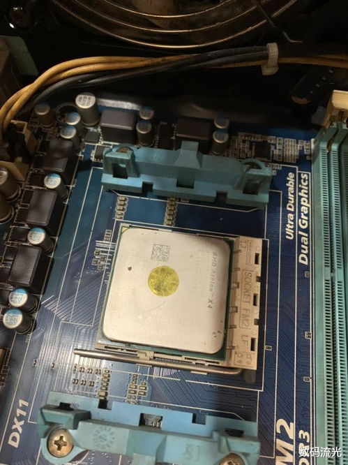 体育明星姚明的个人资料简介 体育明星姚明的个人资料简介